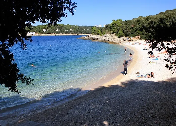 House With A Parking Space - 13024 Holiday home Pula